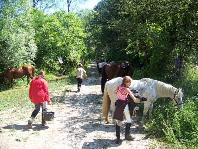  Paseo a caballo en Ain 
